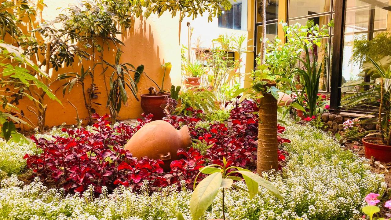 Arequipa Inn Ngoại thất bức ảnh